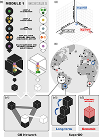 Genomic Inventories